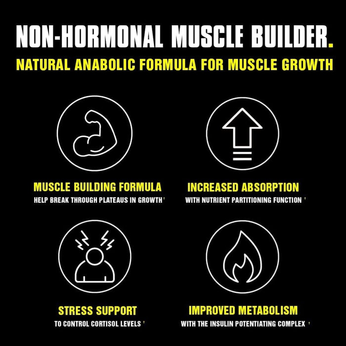 Animal M-Stak 21 count | High-Quality Natural Testosterone Support | MySupplementShop.co.uk