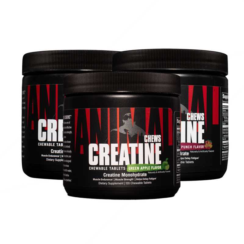 Animal Creatine Chews 120 Tablets - Creatine Chews at MySupplementShop by Animal