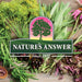 Nature's Answer WHOLE BEETS POWEDER 180 G