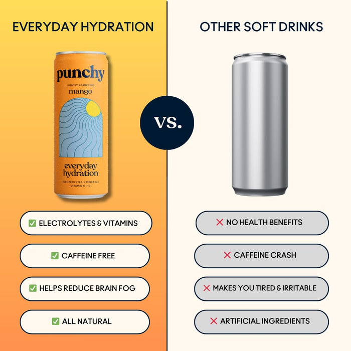 Punchy Hydration 12 x 330ml