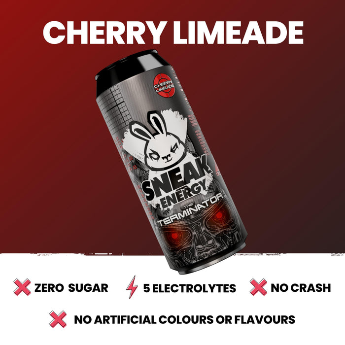 SNEAK Energy 12x500ml