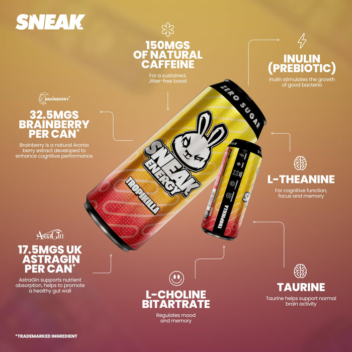 SNEAK Energy 12x500ml