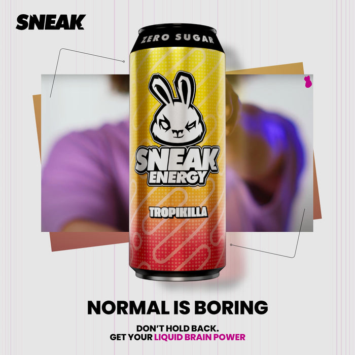 SNEAK Energy 12x500ml