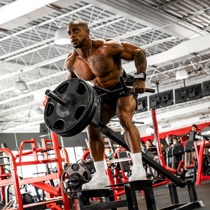 Schiek Model 1100WS Wrist Supports