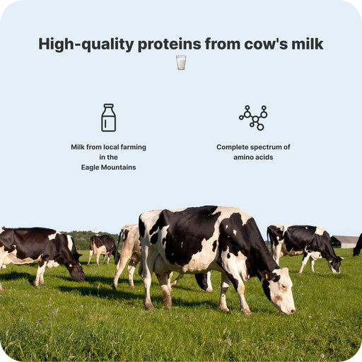 Vilgain Protein Milkshake - Whey Protein Ready-to-Drinks