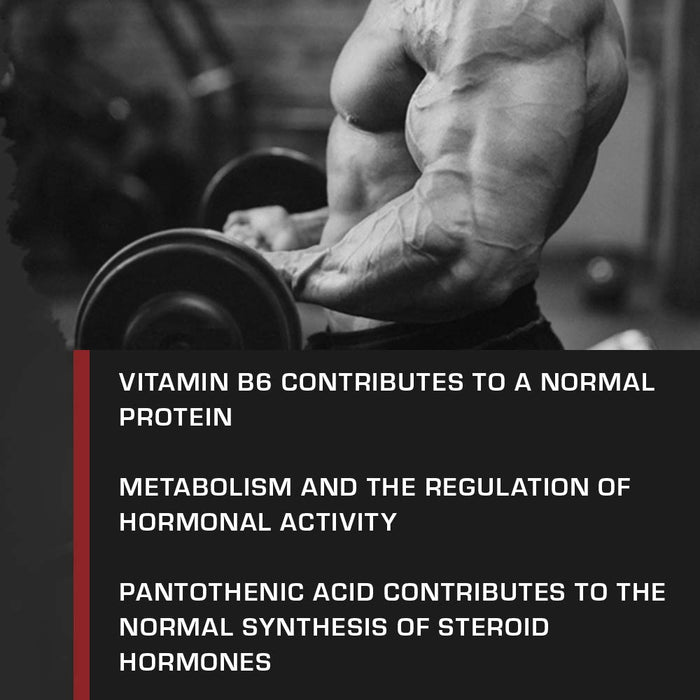 Weider Beta-Ecdysterone - 150 caps - Special Formula at MySupplementShop by Weider