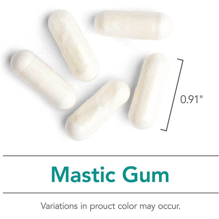 Nutricology Mastic Gum 120 Vegetarian Capsules | Premium Supplements at MYSUPPLEMENTSHOP