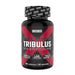 Weider Premium Tribulus - 90 caps | High-Quality Natural Testosterone Support | MySupplementShop.co.uk